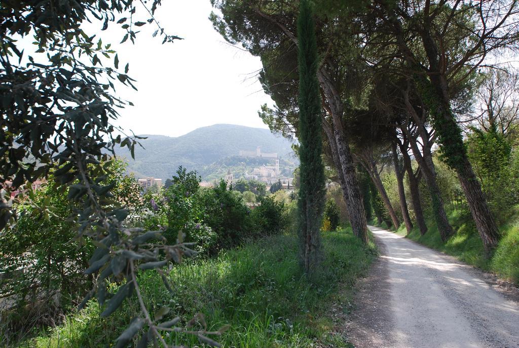 Spoleto By The Poolゲストハウス エクステリア 写真